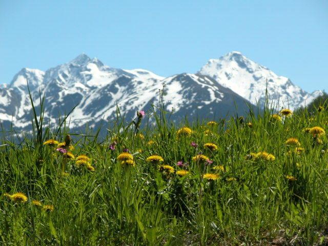 فيلا Feichterhof Voppichler Rio Bianco/Weissenbach المظهر الخارجي الصورة
